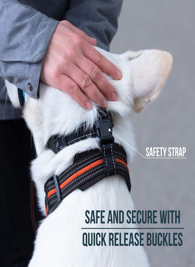 GoodBoy Dog Head Halter with Safety Strap - Stops Heavy Pulling On The Leash - Padded Headcollar for Small Medium and Large Dog Sizes - Head Collar Training Guide Included (Size 3, Black) - Image 5